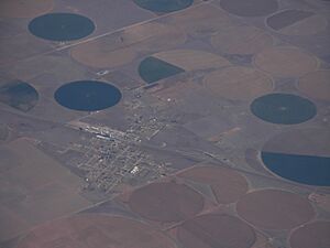 Aerial view of Harley