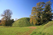 Thetford Castle, or Castle Mound - geograph.org.uk - 1028909.jpg