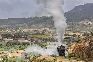 Train Asmara Eritrea