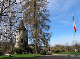 Turm schloss muenchenwiler murtensee014.JPG