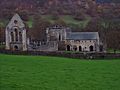 Valle Crucis Abbey 2