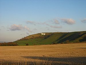 Westburywhitehorse