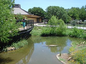 WetlandsBoardwalk