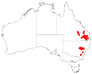 Acacia muellerianaDistMap613.png