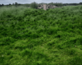 Anglo saxon house baginton