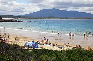 Bermagui Beach 01