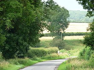 Brooke Road (Geograph 3079925 by Christine Johnstone)