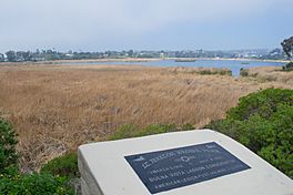 Buena Vista Lagoon.jpg