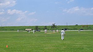 Cricket-johnstretchpark.jpg