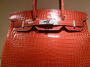 Croc Birkin bag