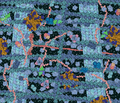 Crowded cytosol