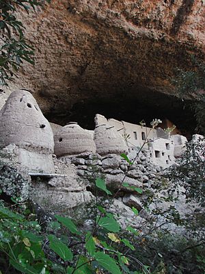 Cueva de las Jarillas