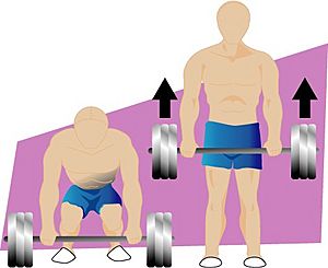 Deadlift illustration