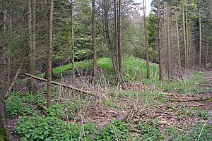 Dorset cursus long barrow