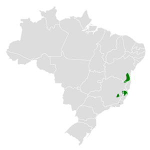 Dysithamnus plumbeus map.svg