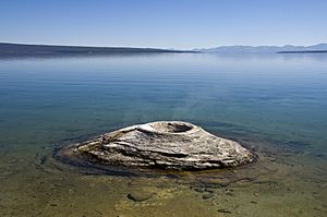 Fishing Cone Geyser YNP2