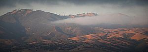 View of the Gabilan Range from Chualar