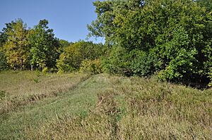 GreeneCountyIA LincolnHighway ButtricksCreekAbandonedSegment