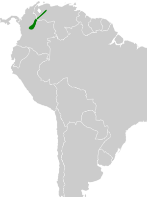 Heliangelus mavors map.svg
