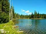 Horseshoe Lake Shore