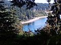 Small beach as seen through a higher vantage point obscured by trees