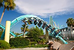 Kraken (SeaWorld Orlando) 01.jpg