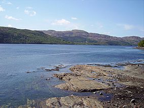 Loch Sunart.jpg