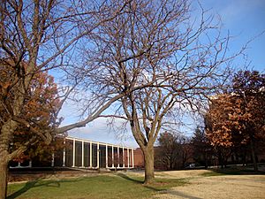 Looking at Hubbard Hall at Wichita State University in the Afternoon 2011