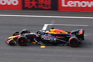 Max Verstappen 2024 Chinese GP