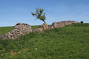 Mendip wall (geograph 1884820).jpg