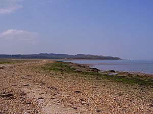 Newtown Bay, Isle of Wight, UK