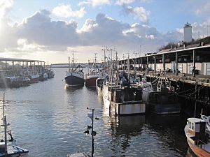 North Shields Fish Quay - geograph.org.uk - 1651356.jpg