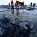 Oil-spill