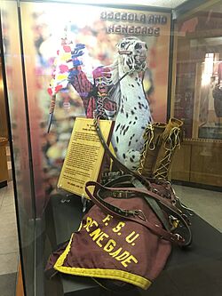 Osceola and Renegade display at the Moore Athletic Center