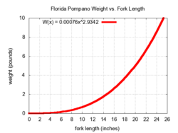 Pompano WL