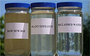 Reclaimed Water Jars