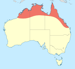 Rhadinosticta banksi distribution map.svg