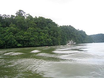 Rio Dulce Guatemala02.jpg