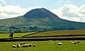 Slemish (8) - geograph.org.uk - 834986