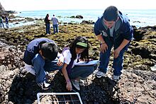 Students on rocky shore in the foreground, rocks with seaweed and the ocean in the background