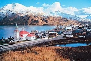 Hilltop view of Unalaska in January 2006