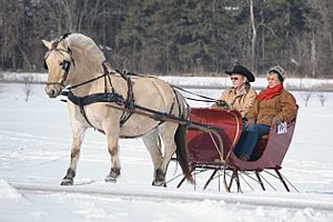 Uphill Sleigh Ride