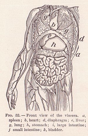 View of Viscera Page 82