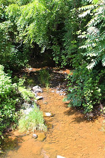 Winfield Creek looking upstream.JPG