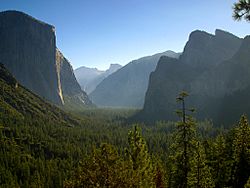 Yosemite Morning