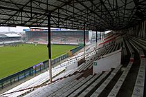 20110720 bosuil.jpg