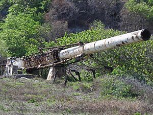 Abandoned-HARP-Gun