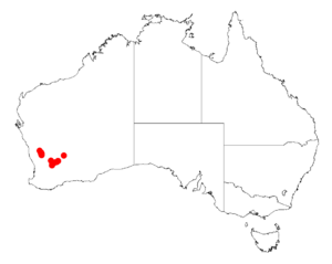 Acacia glutinosissimaDistMap395.png