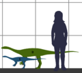 Anchisaurus SIZE