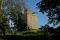 Audley's Castle, through trees